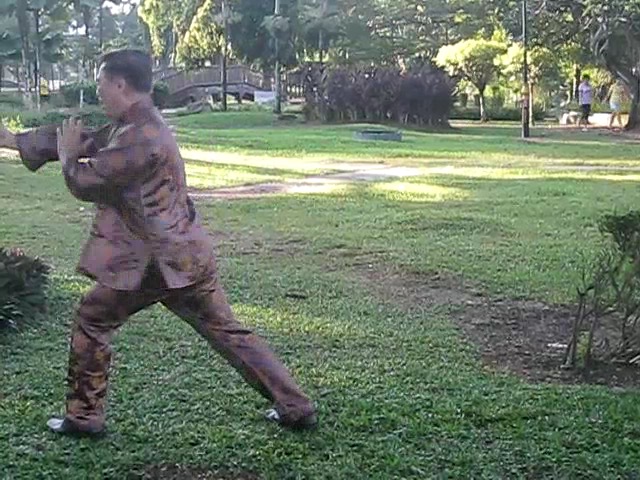 Wu Chuan You Style Taijiquan